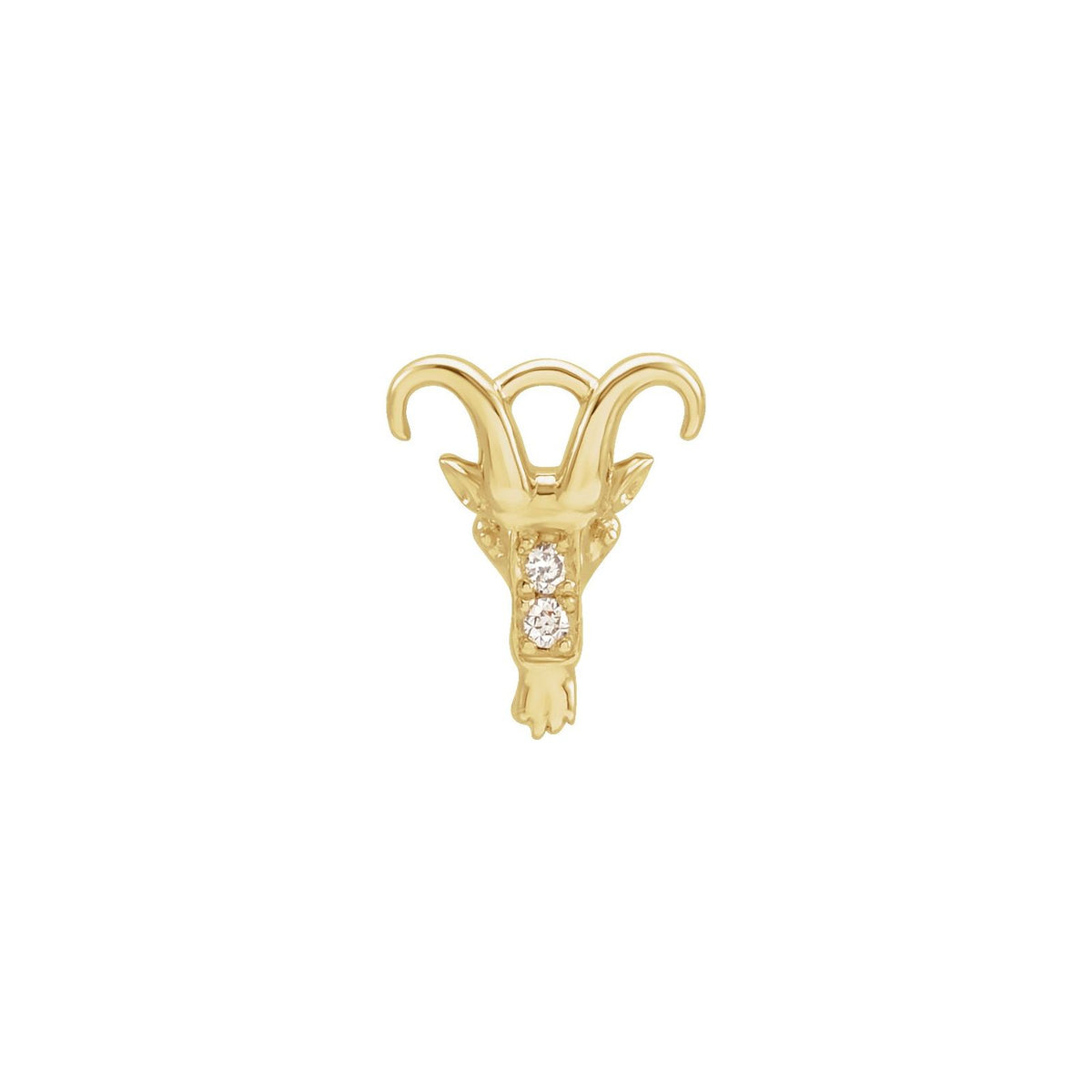Star Sign Aura Charm, Capricorn