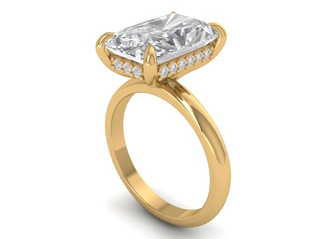14kt Hidden Radiant Diamond Views Engagement Ring