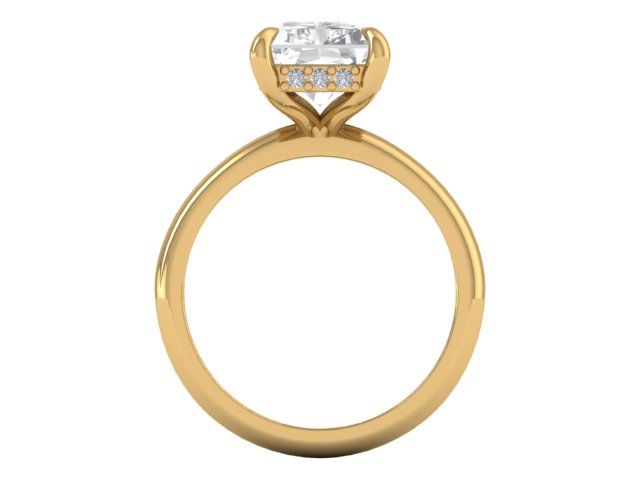 14kt Hidden Radiant Diamond Views Engagement Ring