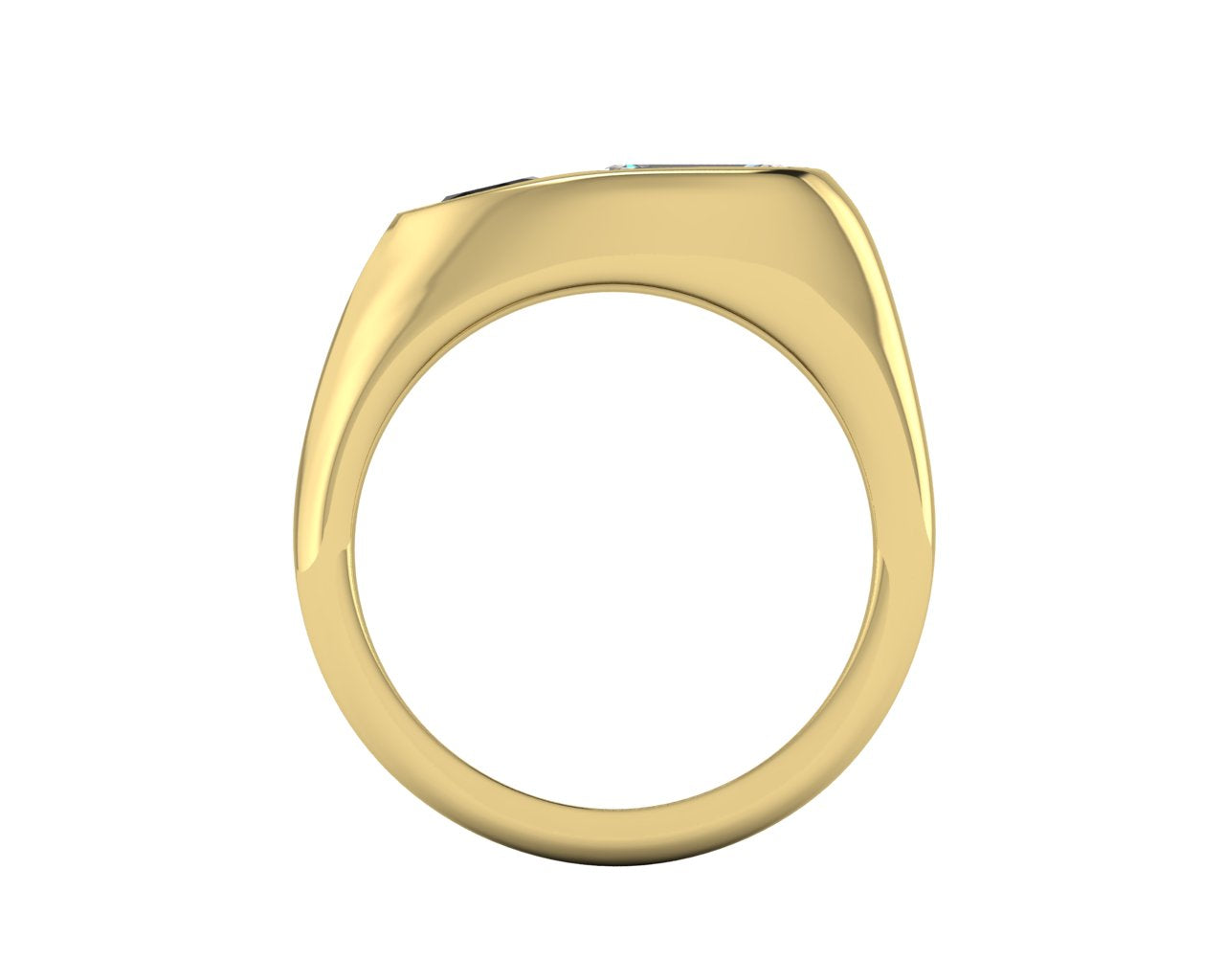 14kt Onyx Visions Signet Engagement Ring