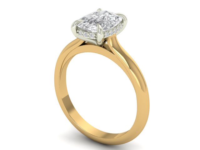 14kt Hidden Cushion Diamond Views Engagement Ring