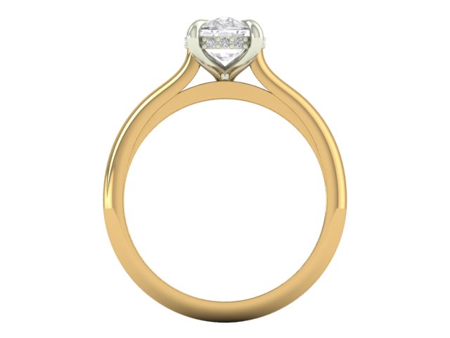 14kt Hidden Cushion Diamond Views Engagement Ring