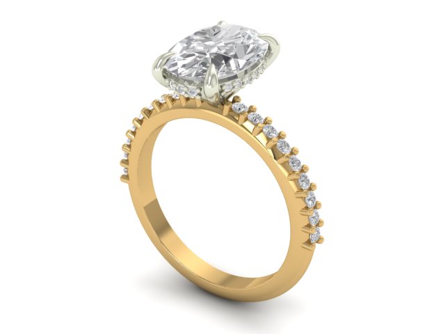 14kt Eternal Diamond Views Engagement Ring