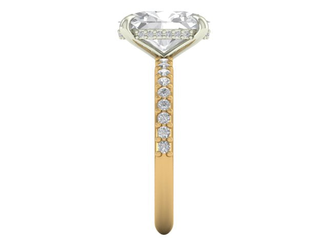 14kt Eternal Diamond Views Engagement Ring