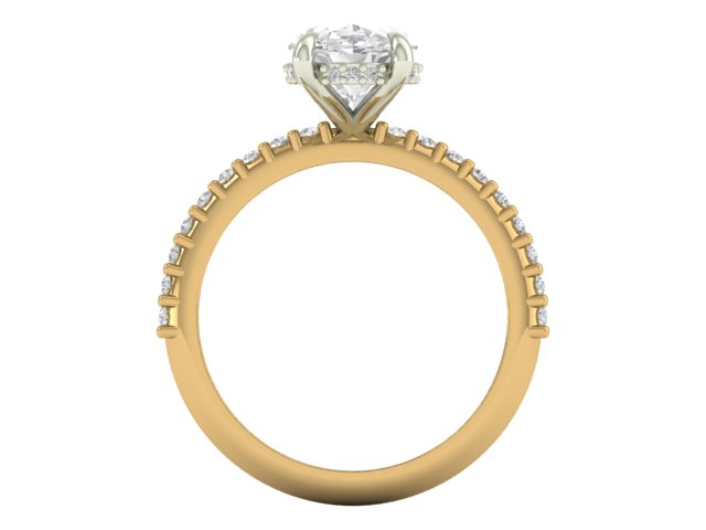 14kt Eternal Diamond Views Engagement Ring