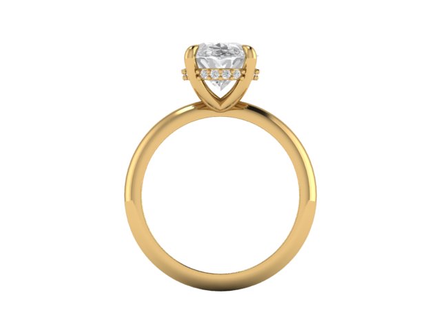 14kt Resting Diamond Views Engagement Ring