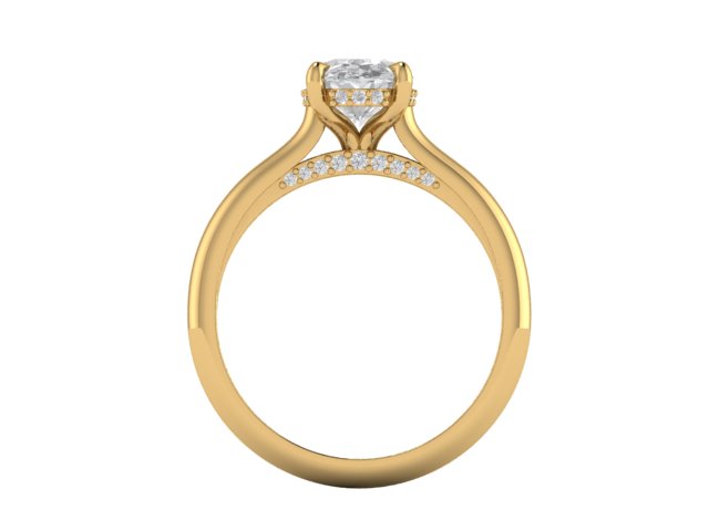 14kt Hidden Diamond Frescoes Engagement Ring