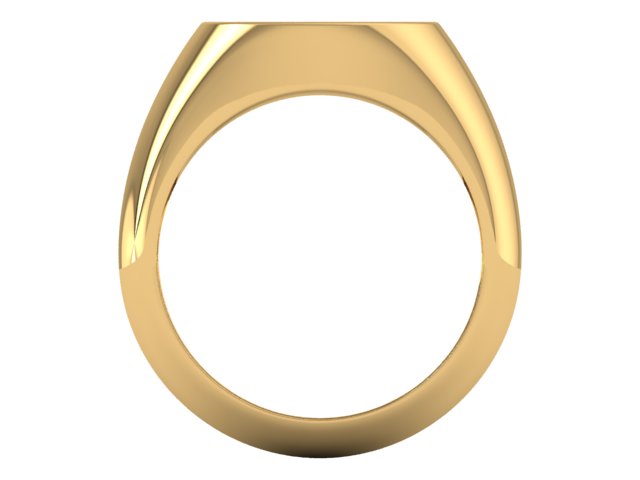 14kt Onyx Visions Signet Engagement Ring