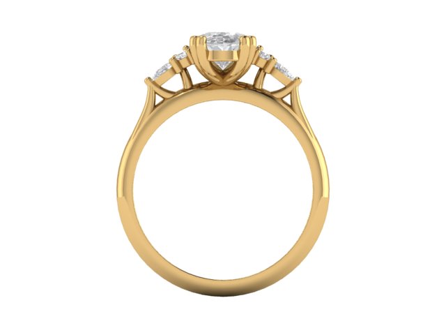 14kt Diamond Trails Ambitions Engagement Ring