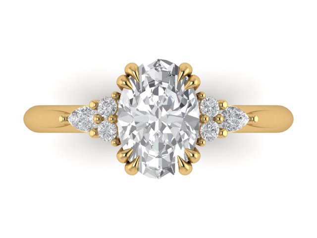 14kt Diamond Trails Ambitions Engagement Ring