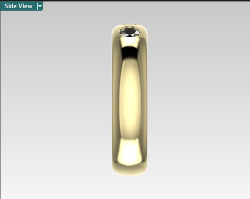 14kt Oval Momento Band