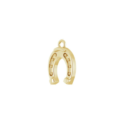 Lucky Horseshoe Charm perspective view