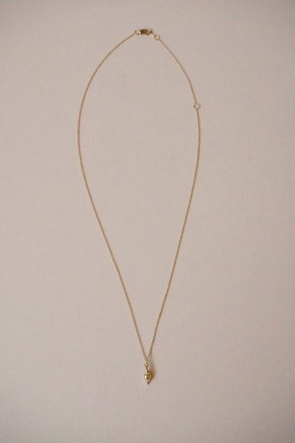 Lane &amp; Kate Seaside Treasures Necklace, conch shell charm on a dainty cable chain in 14kt yellow gold