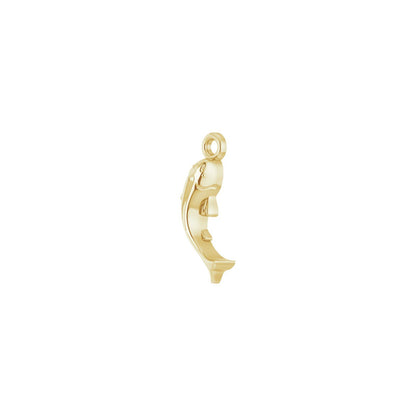 Koi Fish Charm perspective view