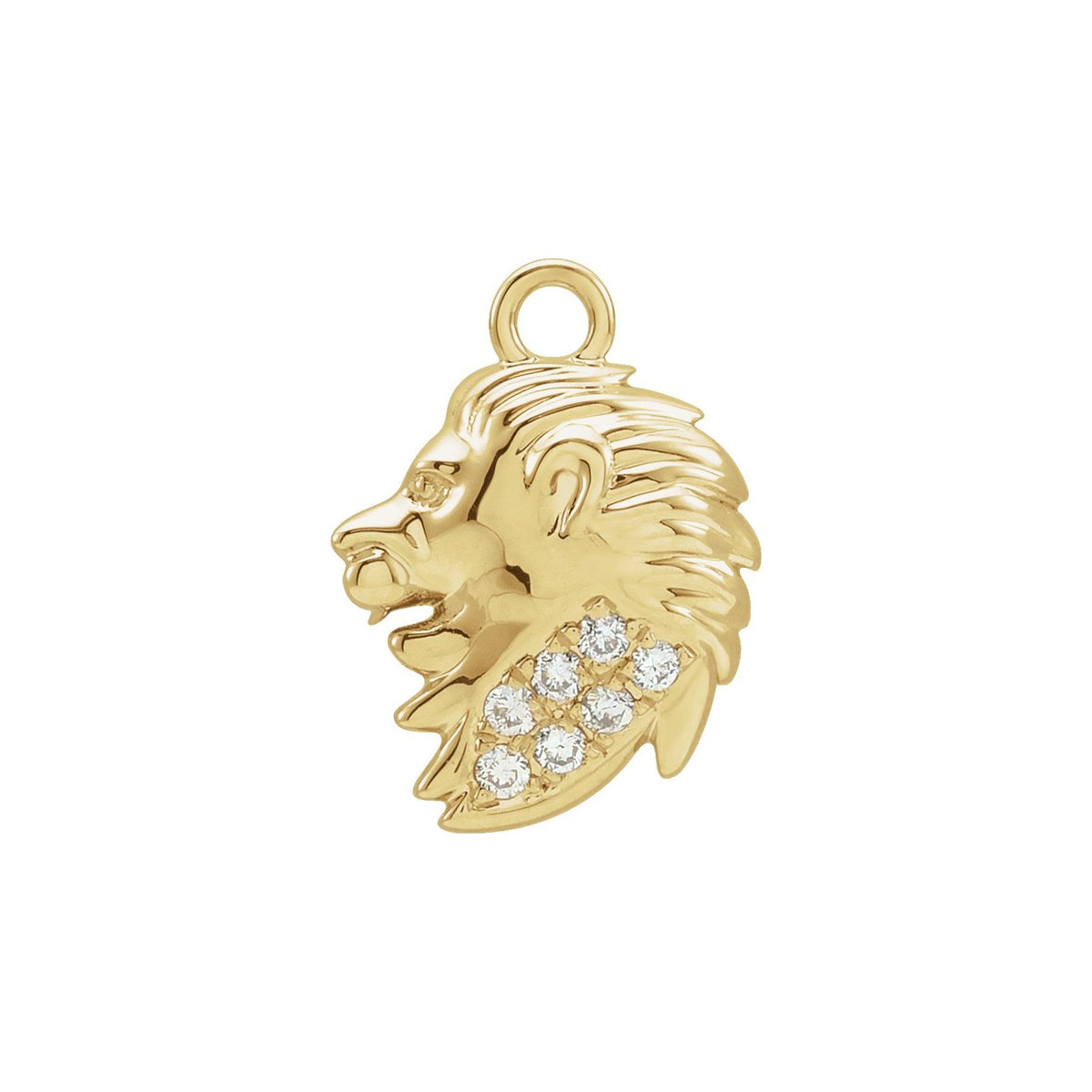 Star Sign Aura Charm, Leo