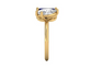 14kt Sapphire Kindly Ones Engagement Ring
