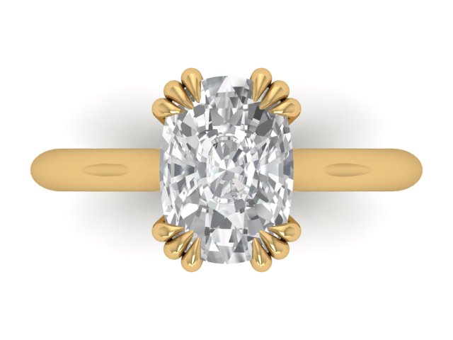 14kt Cushion Cut Element Views Engagement Ring