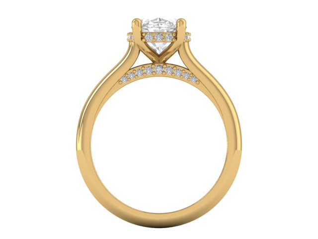14kt Golden Sequence Engagement Ring