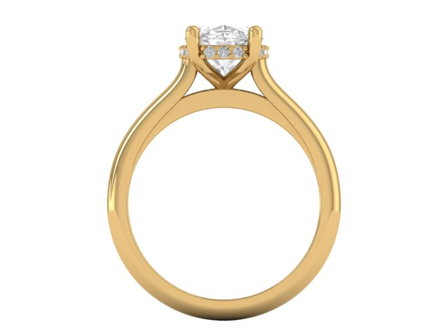 14kt Golden Sequence Engagement Ring
