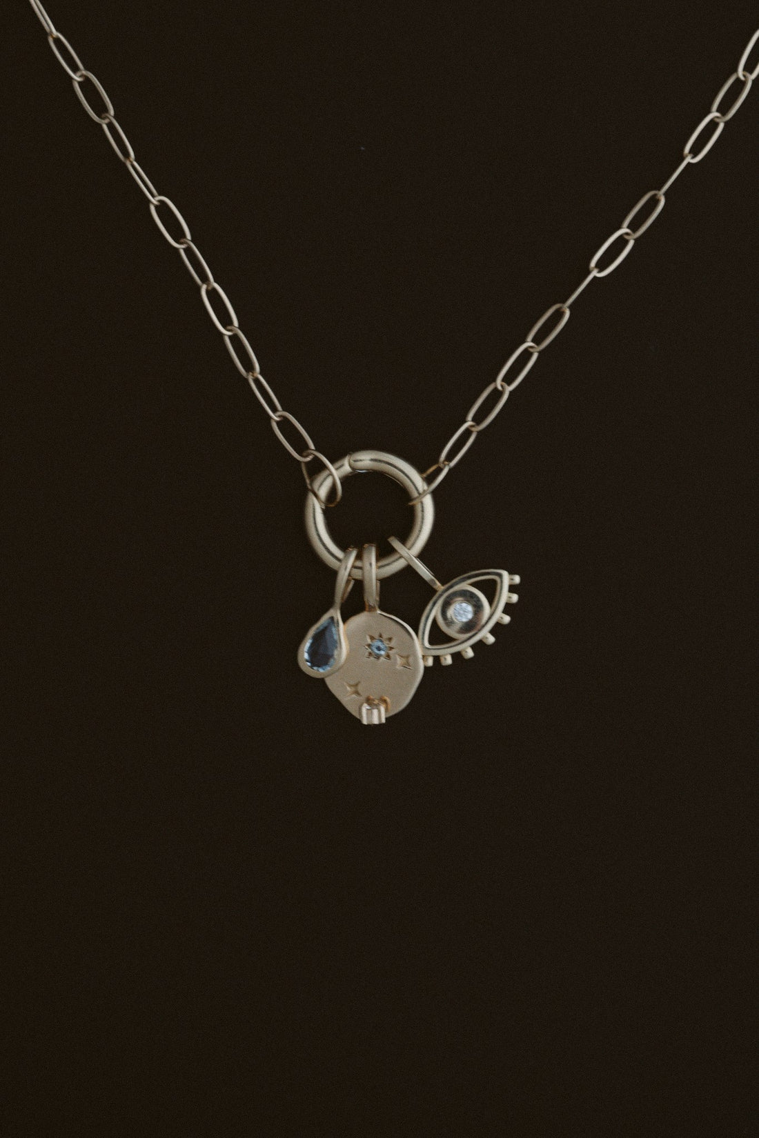 Paperclip Circle Charm Necklace by Lane &amp; Kate in 14kt yellow gold, shown holding charms