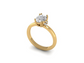 14kt Hidden Diamond Views Engagement Ring
